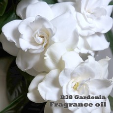 프래그런스 오일 B38 가드니아 디퓨저 향수 치자꽃향, 1개