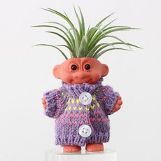 [365일 초록초록] 미니화분 다육이 화분 사무실 책상 이오난사, 단추 퍼플, 1세트