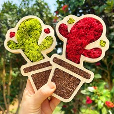 스칸디아모스 화분 만들기 춤추는 선인장 diy 액자 키트 노인 어르신 학생 원예 활동, 양쪽 선인장