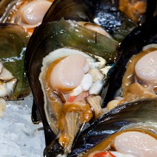 키조개 통 관자 1팩당200g 4-6개 내외 3팩 총 600g, 1개, 상세페이지 참조