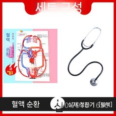 혈액 순환 모델 생물학적 실험 장비 교육 인체 해부학 심혈관 정맥 동맥, 혈액 순환 + 블랙 청진기