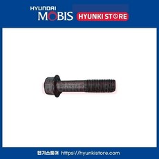 현대 기아 순정 볼트 플랜지 1140610456K 11406 10456K, 호환 차종, 10개