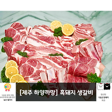 [제주하양까망] 제주 흑돼지 생 갈비, 흑돼지 생갈비 찜용 1.5KG, 일반포장, 1개