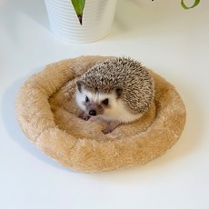 소동물 방석 쿠션 원형 햄스터 고슴도치용 20cm, 베이지