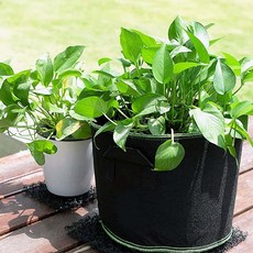 화분 텃밭용 부직포 재배용기 식물 가드닝