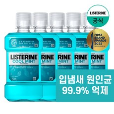 리스테린 쿨민트 250ml, 5개