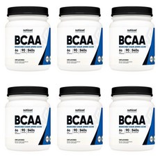 뉴트리코스트 BCAA 파우더 540g, 6개