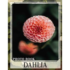 (영문도서) Dahlia Photo Book: Stunning Floral Imagery Featuring 40 Vibrant Dahlia Varietie... Paperback, Independently Published, English, 9798302907202