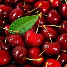 항공직송 칠레산 프리미엄 고당도 생 체리 특품 특대 9.5R, 1개, 2kg