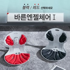 척추 교정 허리 등받이 좌식의자 바른엔젤체어1, 민트, 1개