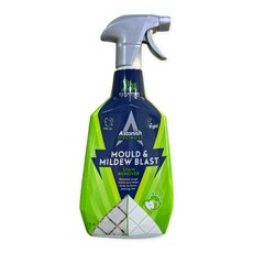 아스토니쉬 곰팡이제거제 애플버스트 영국본사생산정품, 1개, 750ml