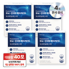 뉴트리정 두뇌 인지력 케어 ps70 포스파티딜세린 아연 분말스틱 40포, 4박스, 80g