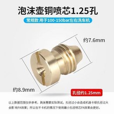 洗車泡沫壺專用銅噴芯 1.4孔, 噴芯1.25孔徑1個