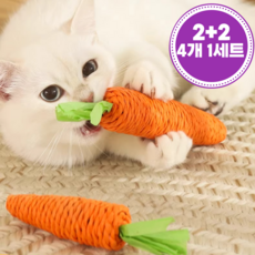 캐츠퍼피 고양이 이갈이 장난감 2+2, 1세트, 당근색상
