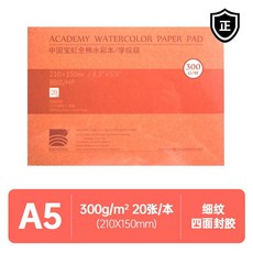 바오홍 수채화종이 수채화지 세밀 잔 종이 아르쉬 중목 아티스트급잔, D. 마이크로 A5 300g 20쪽