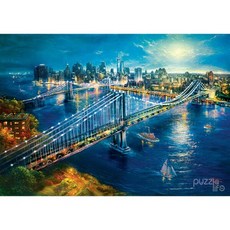 아트박스/퍼즐사랑 1000피스 직소퍼즐 - 맨해튼을 비추는 달빛, 단품없음