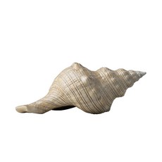 銅作TUMZUO 海螺(C款) 高溫著色 彩色顏料手繪 全黃銅手工打造 銅雕 居家裝飾 收藏 送禮 擺設