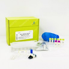 최초감염자를찾아라(항원진단모의실험) 5인용, 1세트