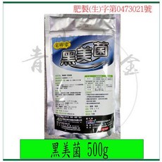 黑美菌 500g 黑殭菌 適用於斜紋夜蛾、金龜子、叩頭蟲、蝗蟲, 1個