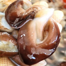 국내산 여수 생물 손질 검정새조개 프리미엄 해산물