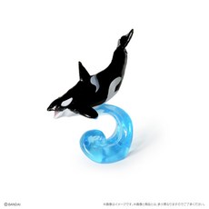 BANDAI 鯨魚生物大圖鑑 扭蛋 蛋樂寶, 1個, 虎鯨