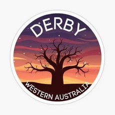 호주 국기 엠블럼 캥거루 스티커 벽장식 자동차 창 자전거 범퍼 데칼, 8. Australia, D. 20cm