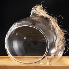 투명볼 5쌍 식물키우기, 8cm