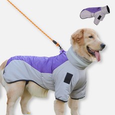 강아지 중형견 대형견 올인원 패딩하네스, 퍼플