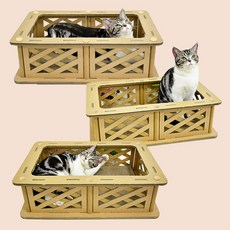 (당일발송) 이지유 고양이 골판지 스크래쳐 숨숨집 상자 종이 박스, 1개, 오픈형