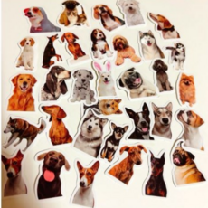 휴렉스 강아지 스티커 낱개, 1개, 21