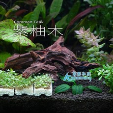 AC草影 紫柚木 水族沉木 魚缸造景裝飾 木紋光滑不傷手, 1個, 紫柚木（L）