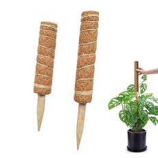 Green Mist 綠色山嵐 椰纖棒 植物攀爬支柱 可堆疊設計 29公分/40公分, 1個
