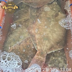 [품질 보장 자연산 활 도다리] 거제도 자연산 활 도다리 손질 도다리 쑥국 생물 배송, 1개, 정품 자연산 활 도다리 600g (매운탕 소스 포함)