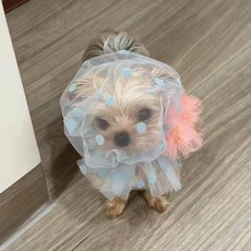 윤화마켓 강아지커버 양봉모자 해충방지 페이스, 블루 신축성 7.5-15kg, 1개