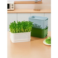 콩나물 트레이 모종 재배기 새싹 심기용 용기 식물재배기 천청 단층 1세트