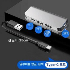 [다있지롱] 차량용 USB 확장기 타입C 데이터 케이블 어댑터, 메탈 실버 - 차량용 타입 C 인터페이스 - 참고 사항, 기본 색상