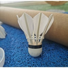 柏霖體育 八根羽毛球 高CP值12入羽毛球, 1個