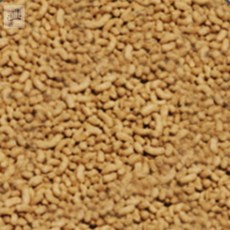 조은 붕어 비단잉어 사료 물고기사료