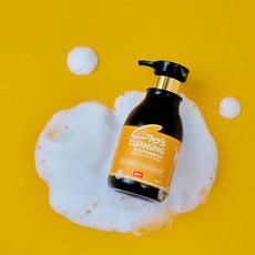 힙스 고스 클렌징 스칼프 샴푸 두피관리샴푸, 1개, 500ml