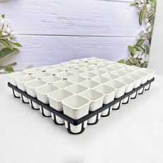 특허 사각 플분 1호 48개 + 48구 연결 트레이 세트, 1.특 사각 1호 블랙 48개+48구, 1개