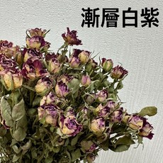 花藝夢*荷蘭進口 乾燥迷你多頭玫瑰花 *原裝販售* 迷你玫瑰 乾燥花 不凋花 乾燥花材, 漸層白紫
