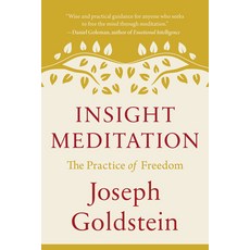 (영문도서) Insight Meditation: The Practice of Freedom Paperback, Shambhala, English, 9781645473435