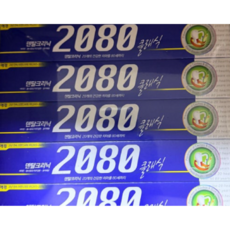 2080 클래식치약, 170g, 1개입, 1개