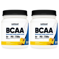 뉴트리코스트 BCAA 파우더 90회분 파인애플맛 738g 2개, 723g