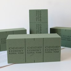 오아시스 플로랄 폼 이코노미 4개입, 4개