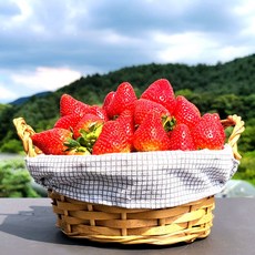딸기 고냉지 여름딸기 데코용 300g 생딸기 1상자 (15-36과) 과수랜덤, 1개, 여름딸기 데코용_300g 1상자_(15-36)과수랜덤