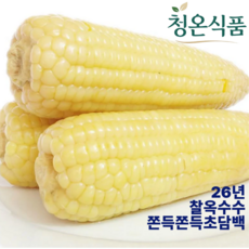 [하루딱50박스] 산지직송 쫄깃달콤 미백 찰옥수수, 5개, 특대