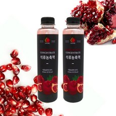 초록마루 석류 농축액 100% 석류즙 석류원액 2병, 석류농축액2병, 석류농축액2병