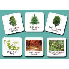 번체자한자카드 영어 광동어 단어카드 중국어 한자공부 단어 쓰기 어린이 한자카드, 8cm X 100장 번체자 (구멍X), 1개