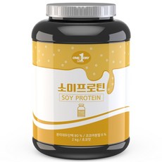 원데이뉴트리션 소이프로틴 단백질 쉐이크 초코맛, 2kg, 1개